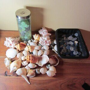 100+ sea shells & CB2 blue green sea glass ocean crafting (W3380)
